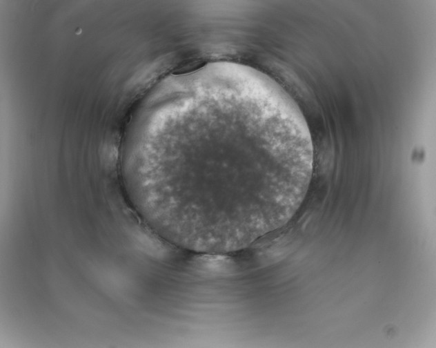 X0000090730427200708171951