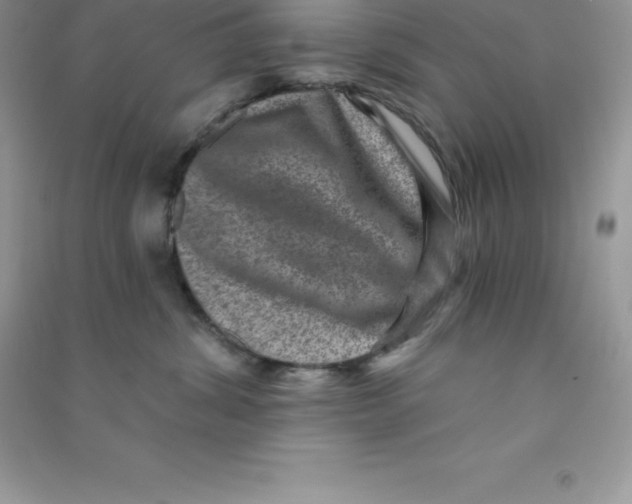 X0000090730428200708171951