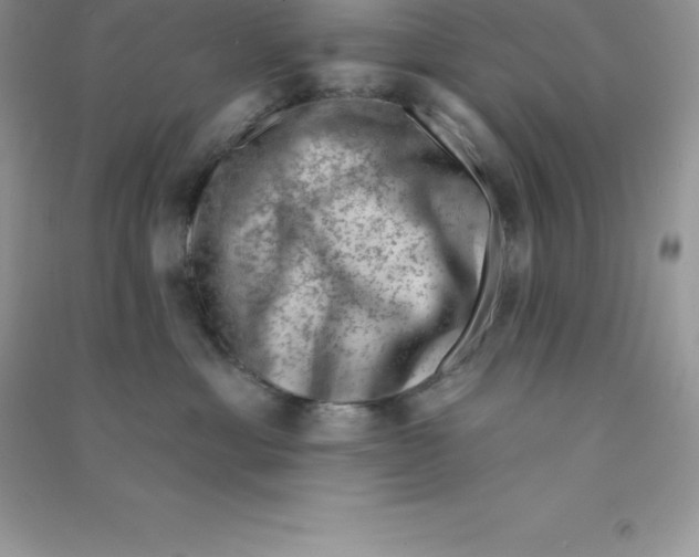 X0000090730429200708171951