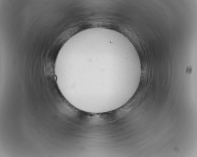 X0000090730430200708171951