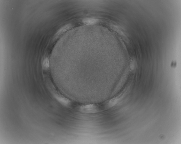 X0000090730431200708171951