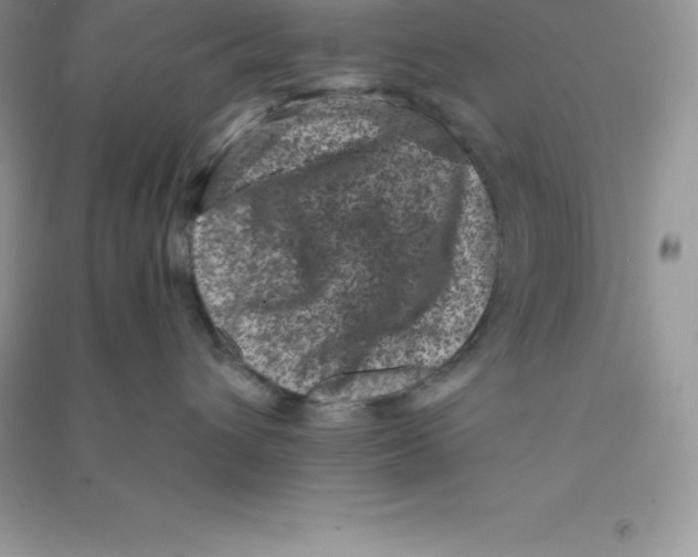 X0000090730432200708171951