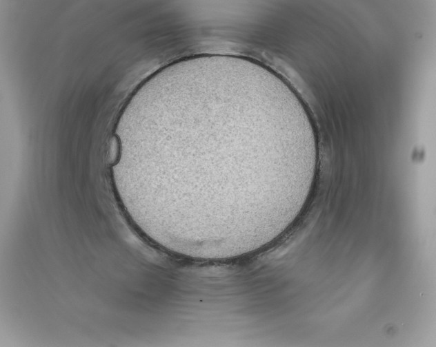 X0000090730433200708171950