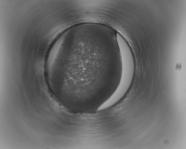 X0000090730434200708171950