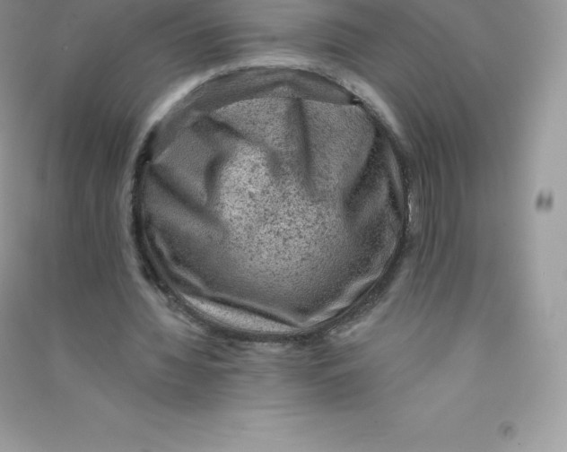 X0000090730436200708171950