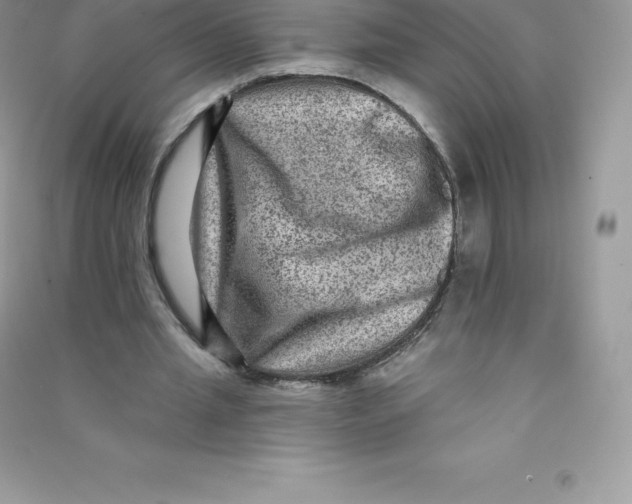 X0000090730437200708171950