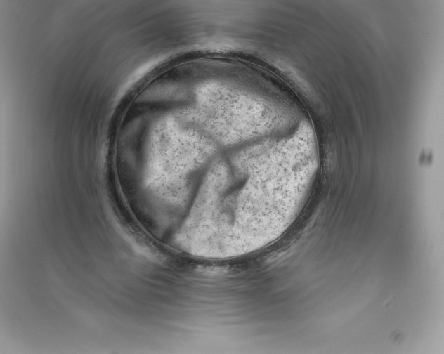 X0000090730440200708171950