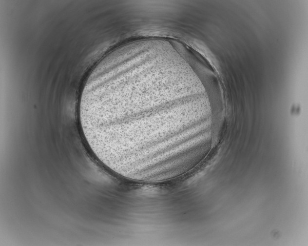 X0000090730441200708171950