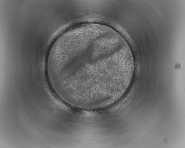 X0000090730442200708171950