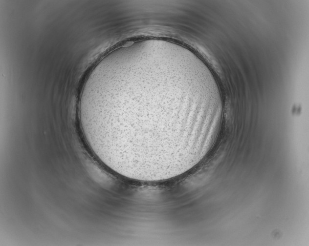 X0000090730445200708171950