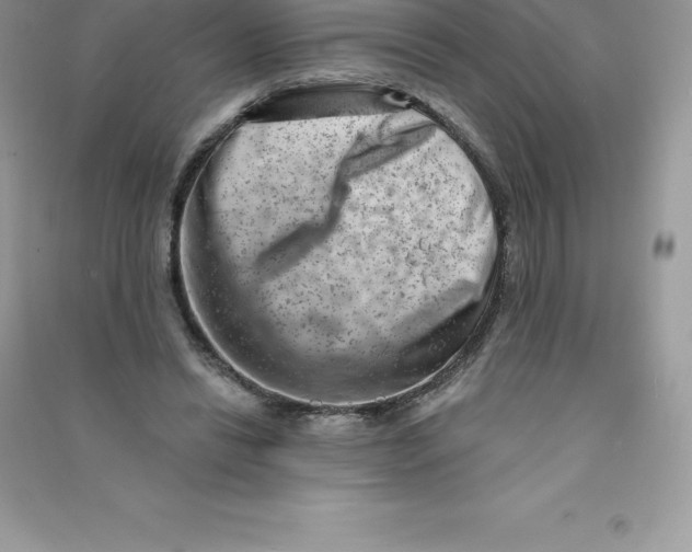 X0000090730446200708171950