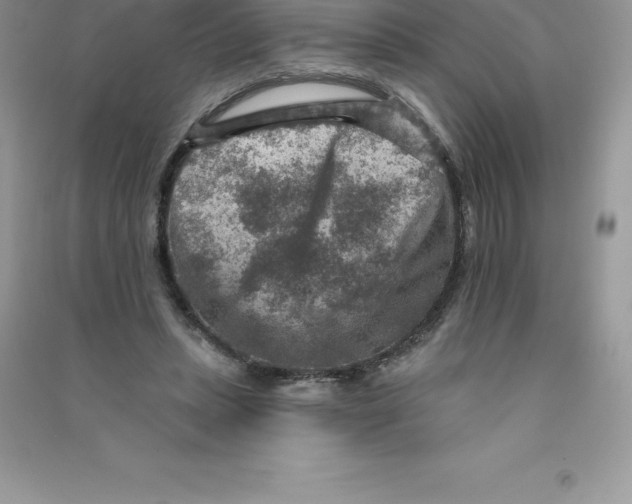 X0000090730447200708171950