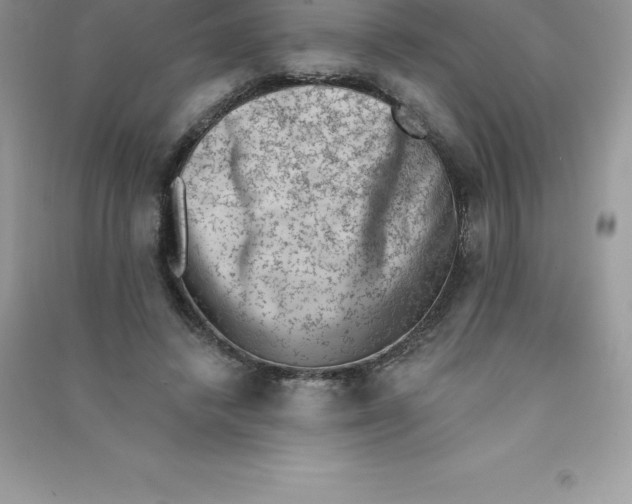 X0000090730448200708171950