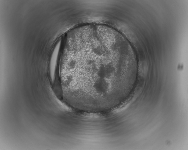 X0000090730449200708171950