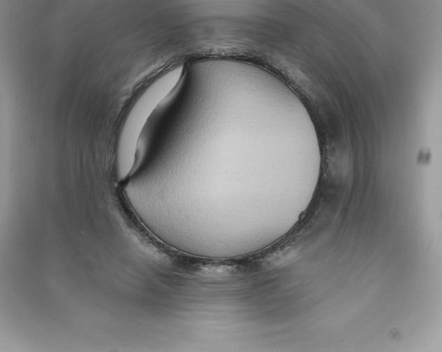 X0000090730450200708171950