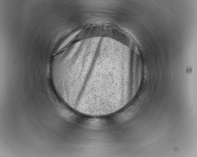 X0000090730453200708171950