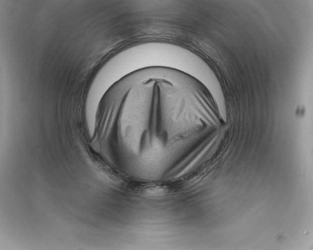 X0000090730456200708171951