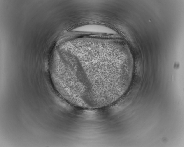 X0000090730457200708171951