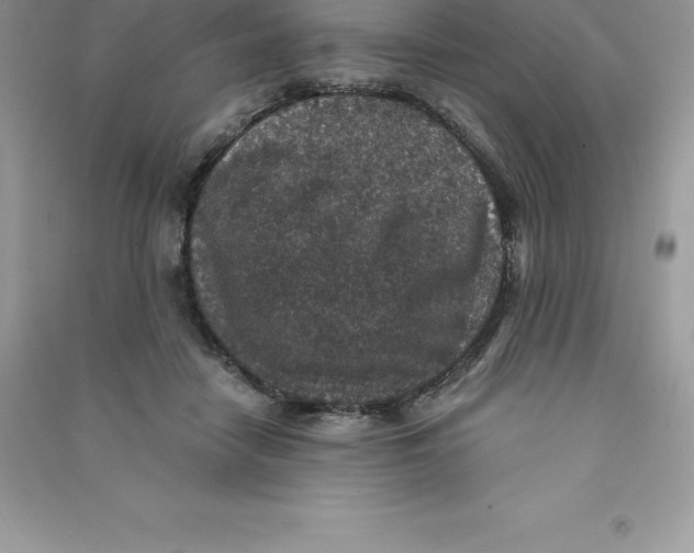 X0000090730458200708171951