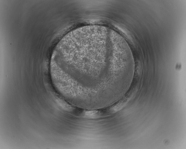 X0000090730461200708171951