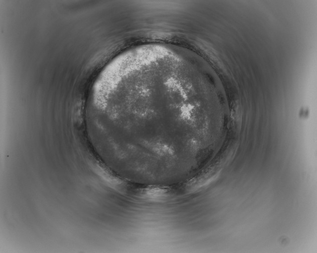 X0000090730462200708171951