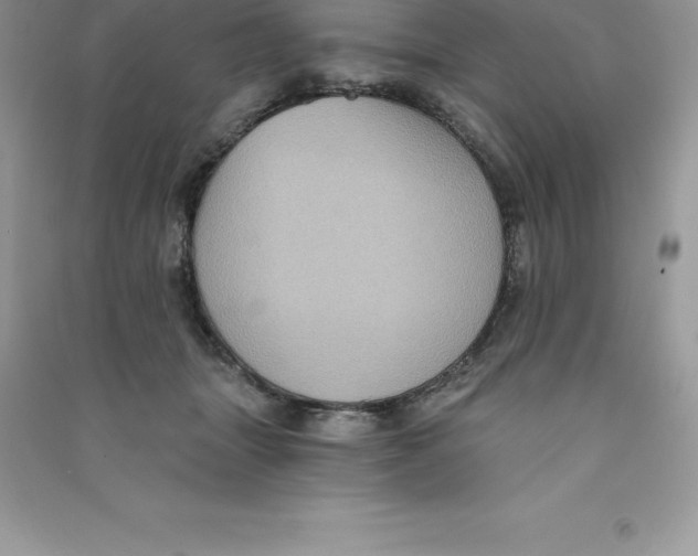 X0000090730463200708171951