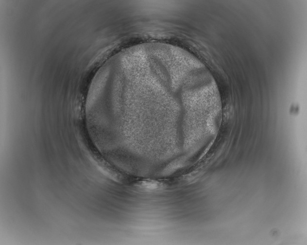 X0000090730464200708171951