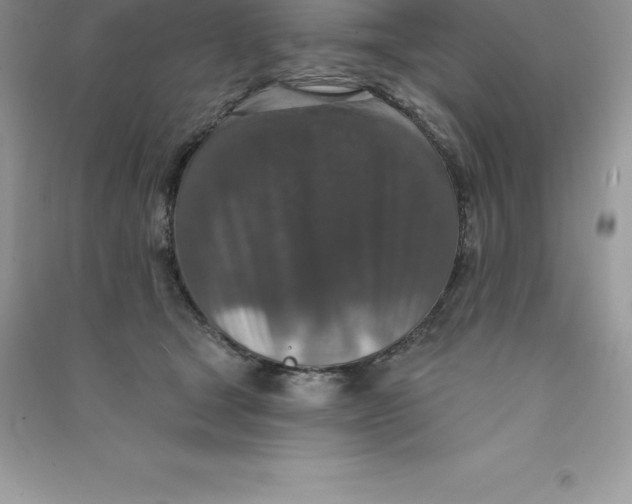 X0000090730465200708171951