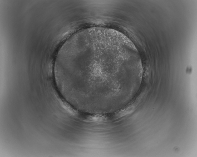 X0000090730466200708171951