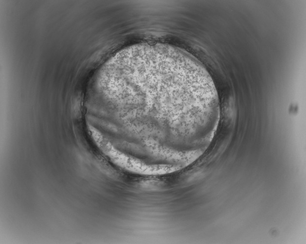 X0000090730468200708171951