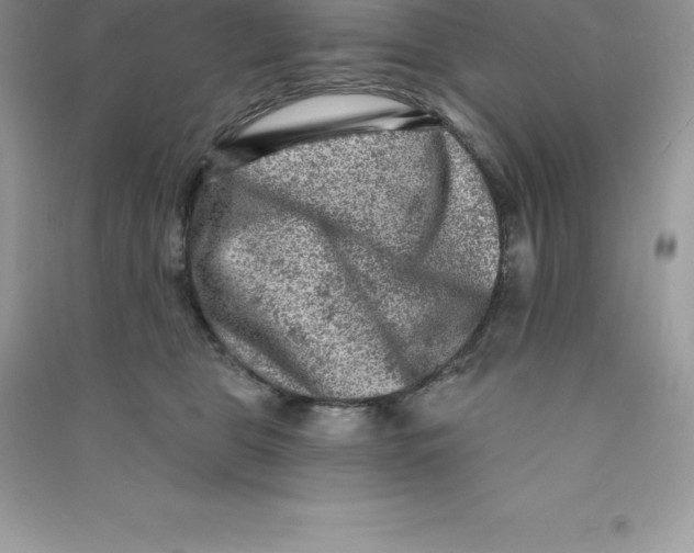 X0000090730469200708171951