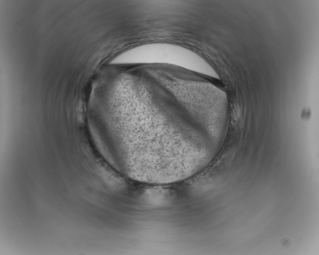 X0000090730470200708171951