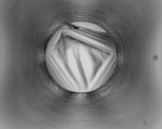 X0000090730474200708171951