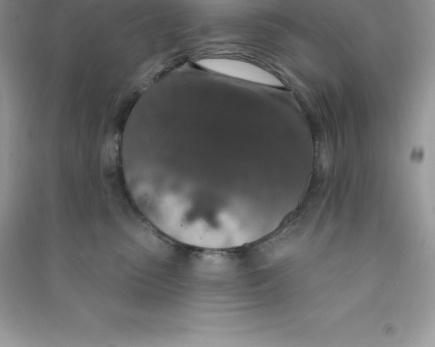 X0000090730475200708171951