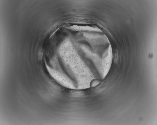 X0000090730476200708171951