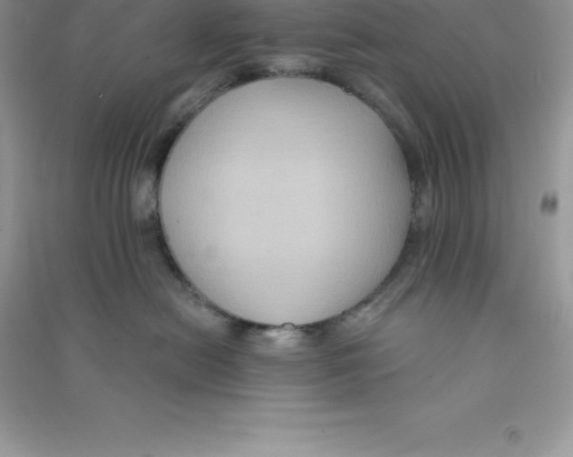 X0000090730478200708171951