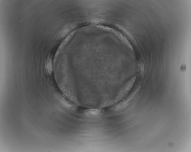 X0000090730479200708171951