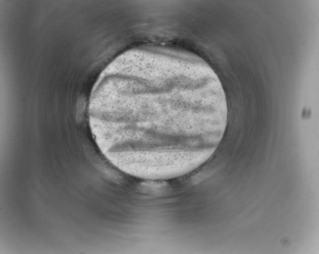 X0000090730480200708171951