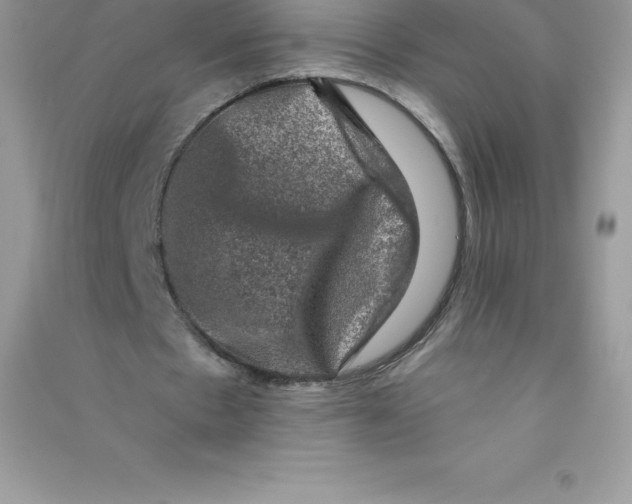 X0000090730481200708171950