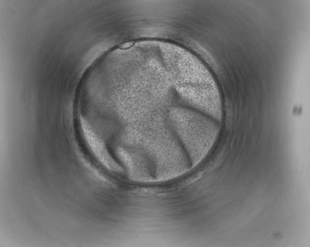 X0000090730482200708171950