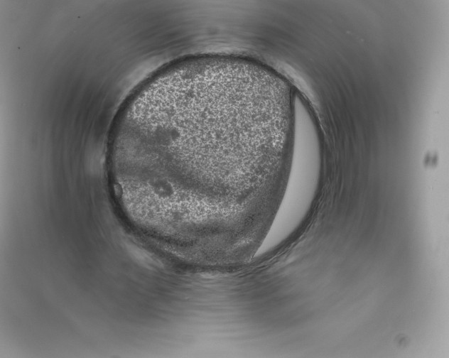 X0000090730483200708171950