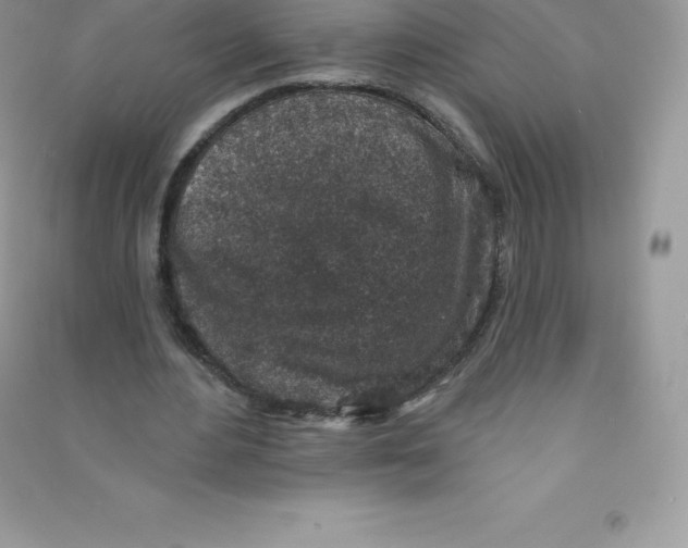 X0000090730484200708171950