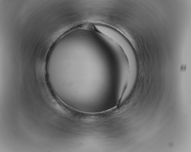 X0000090730485200708171950