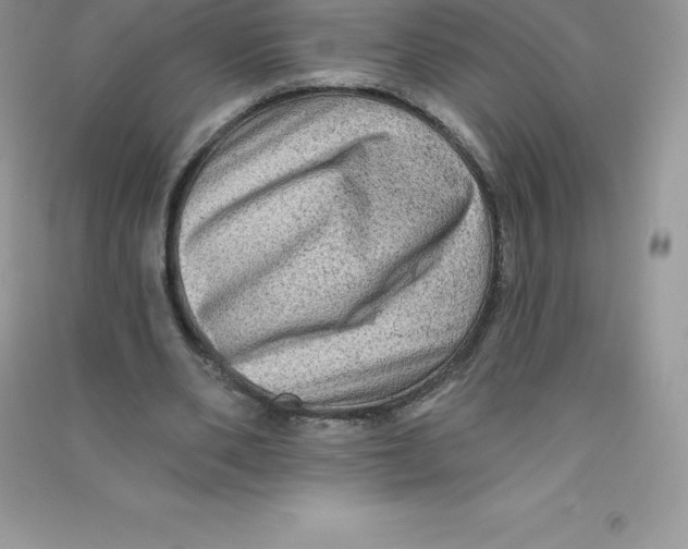 X0000090730486200708171950