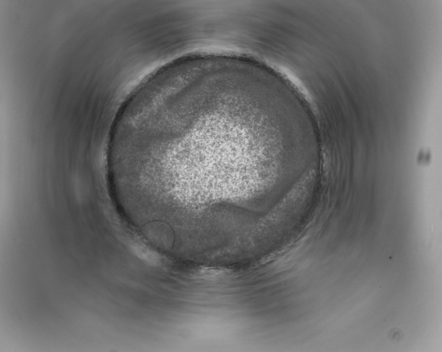 X0000090730487200708171950