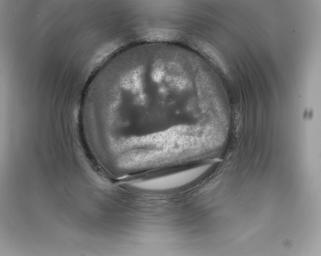 X0000090730491200708171950