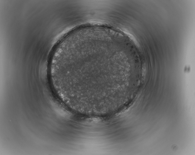 X0000090730492200708171950