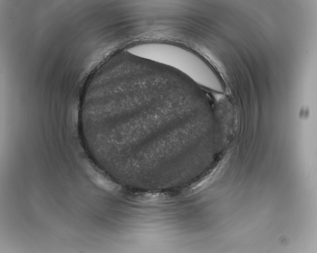 X0000090730493200708171950