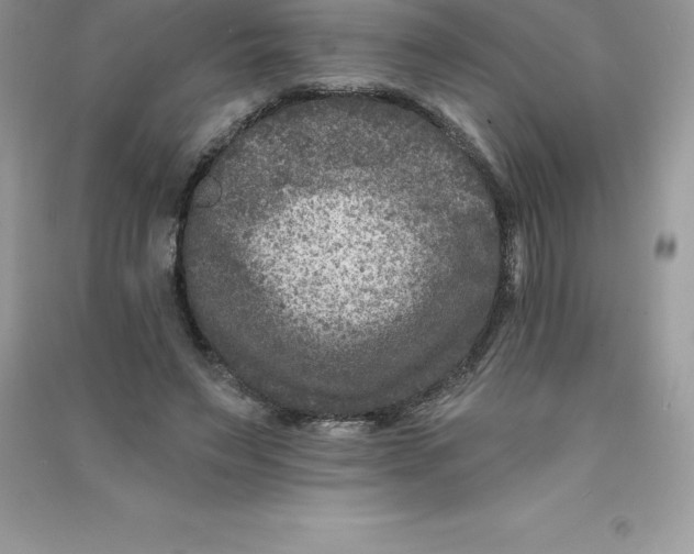 X0000090730495200708171950