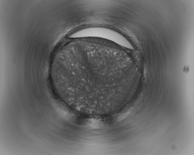 X0000090730496200708171950